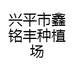 兴平鑫铭丰果树盆景种植场