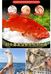 斌哥海鲜优选