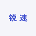 锐速摩托车装备专营店