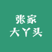 张家大丫头