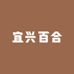 宜兴潘建明百合合作社