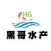 黑哥淡水鱼苗养殖基地