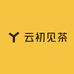 云初见茶