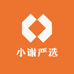 小谢严选