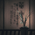 书香花艺