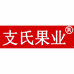 支氏果业369店