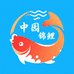 中园锦鲤