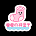 卷卷的袜匣子