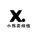 小陈卖绿植