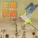 宸曦养殖