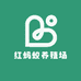 红蚂蚁养殖场
