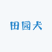 广西纯种田园犬之家