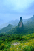 阿哥农家山货铺