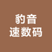豹音速数码
