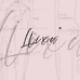 Liixudesign hx店