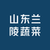 山东兰陵蔬菜