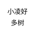 小凌好多树