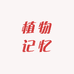 植物记忆甄选绿植