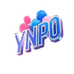 YNPO潮玩旗舰店