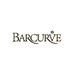 BARCURVE高定男装