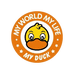 MYDUCK小黄 鸭男女童鞋