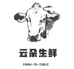 云朵牛牛