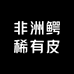 非洲鳄稀有皮