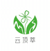 云顶萃