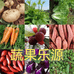 蔬果乐源