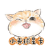 小夹球星卡