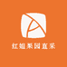 红姐果园直采