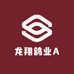 龙翔鸽业A