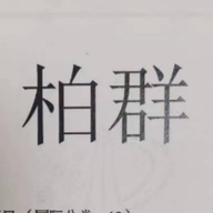 柏群煜炜新材专卖店