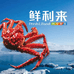 沈阳鲜多美商贸有限公司