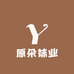原朵袜业