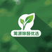 篱源除醛优选