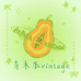 青木瓜vintage
