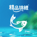 精品锦鲤臻选