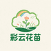 云南彩云花苗基地