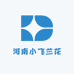 河南小飞兰花