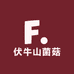 伏牛山菌菇土特产