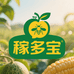 山东稼多宝助农