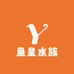 鱼皇水族