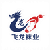 飞龙袜业