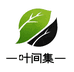 叶间集茗茶
