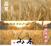 素真禾谷山东特色农产品