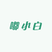 嘟小白