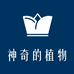 拓拓健康管理咨询部