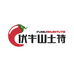 伏牛山野生菌土特产
