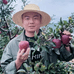韩文东生鲜水果